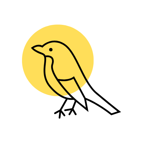 Movia Media Creators